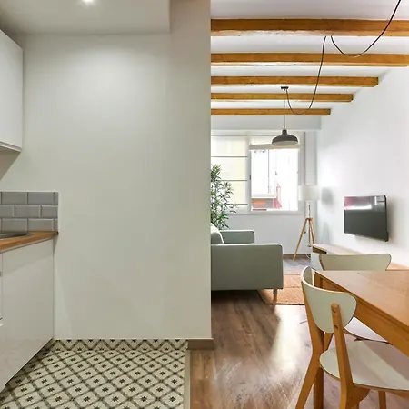 Ol Cute Apartment In Quiet Olivera St Apartment Barcelona